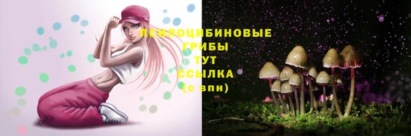 спайс Инсар