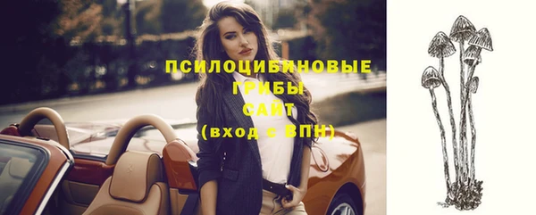 спайс Инсар