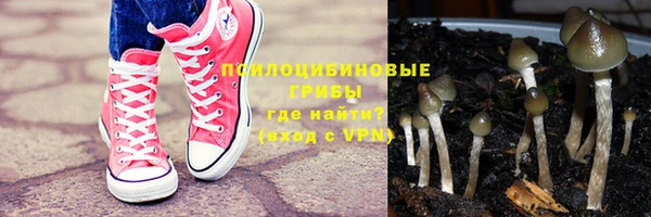 меф Инта
