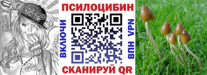 Псилоцибиновые грибы GOLDEN TEACHER  Купить закладки  Новотитаровская 